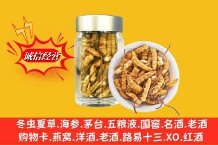 永州市江永回收散虫草