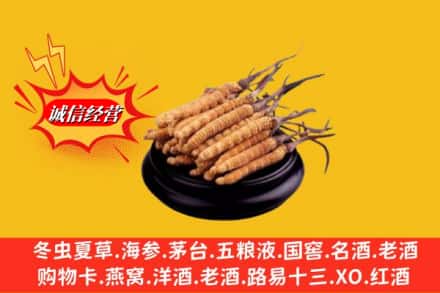 永州市江永求购回收虫草多少钱每克